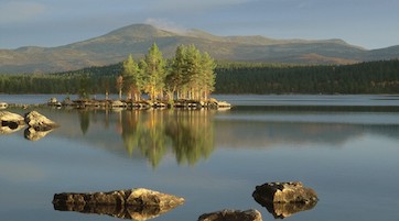 Femundsee